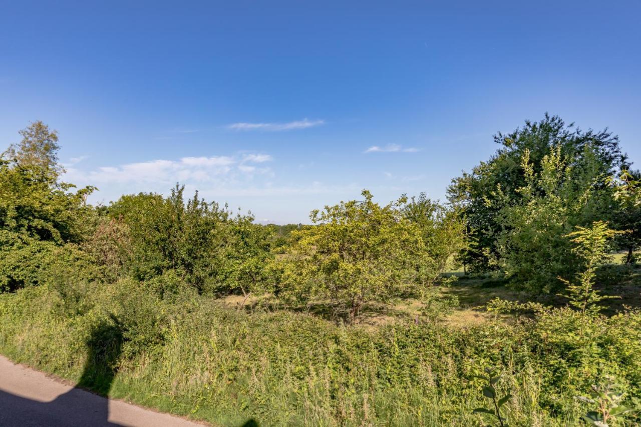 Danny Lodge - Country Cottage Near Brighton By Huluki Sussex Stays Hurstpierpoint Zewnętrze zdjęcie