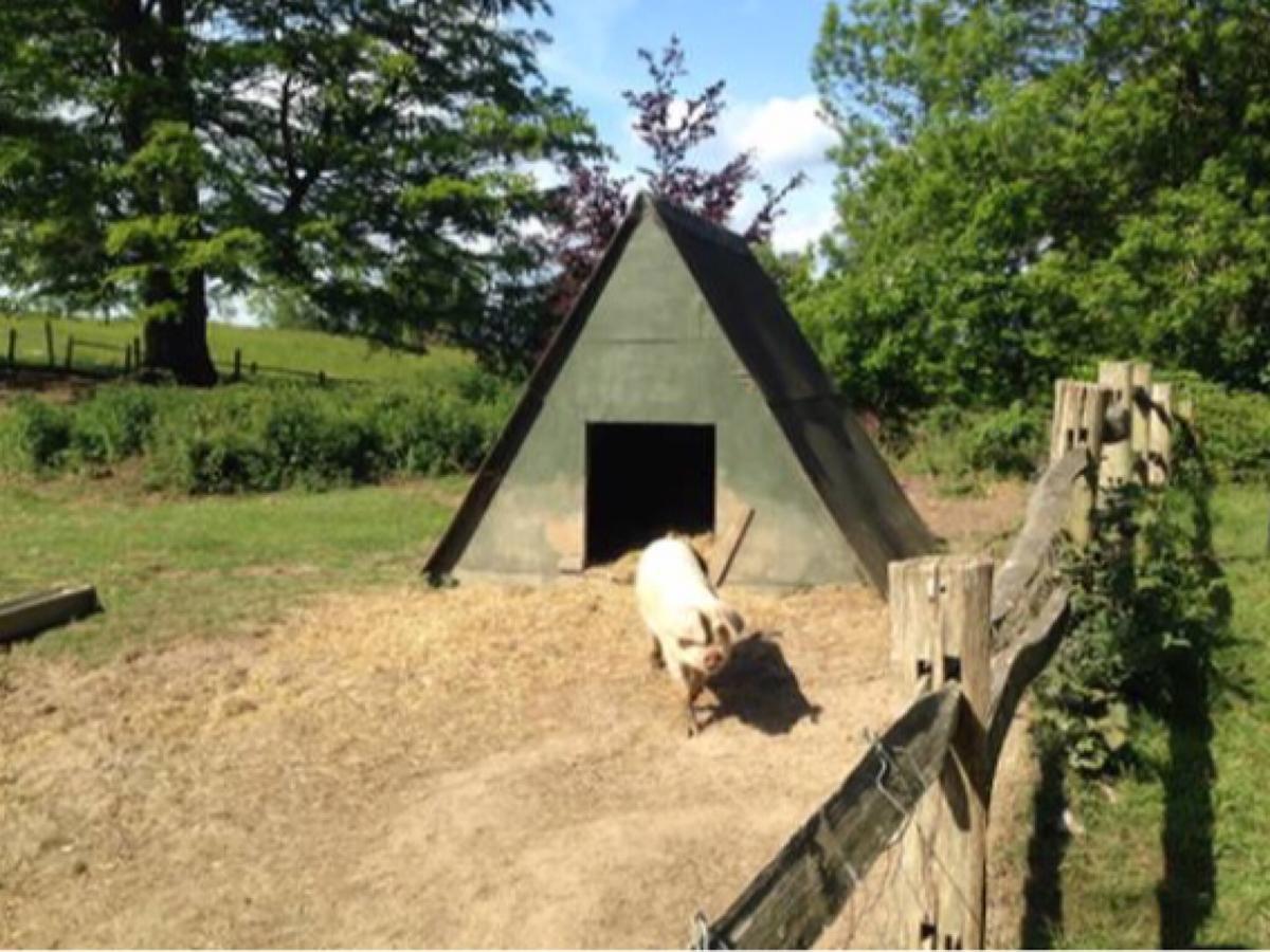 Danny Lodge - Country Cottage Near Brighton By Huluki Sussex Stays Hurstpierpoint Zewnętrze zdjęcie